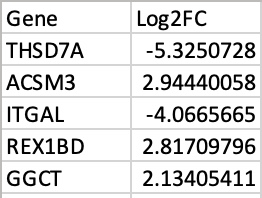 gene signature format